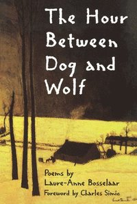 bokomslag The Hour Between Dog and Wolf
