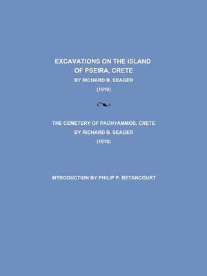 bokomslag Excavations on the Island of Pseira, Crete