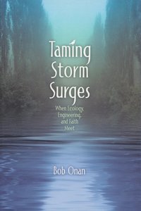bokomslag Taming Storm Surges