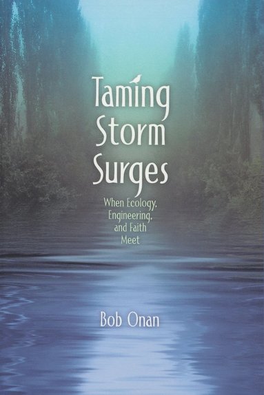 bokomslag Taming Storm Surges
