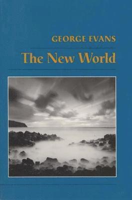 bokomslag The New World