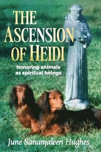 bokomslag Ascension of Heidi