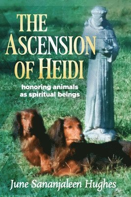 bokomslag Ascension of Heidi