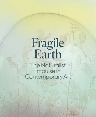 Fragile Earth 1