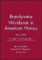 bokomslag Brandywine Workbook in American History, Volume II