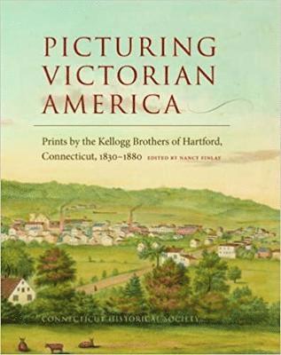 Nancy Finlay - Picturing Victorian America, Häftad