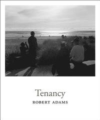 bokomslag Robert Adams - Tenancy