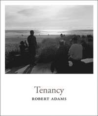 bokomslag Robert Adams - Tenancy