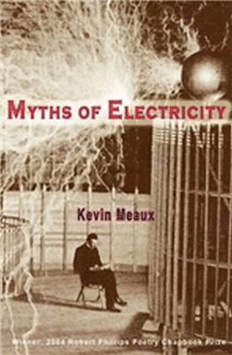 bokomslag Myths of Electricity