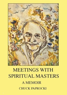 bokomslag Meetings with Spiritual Masters