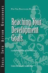bokomslag Reaching Development Goals