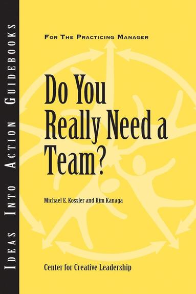 bokomslag Do You Really Need a Team?