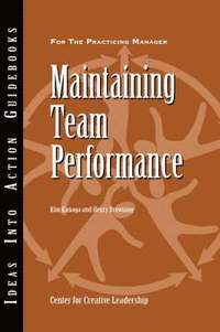 bokomslag Maintaining Team Performance
