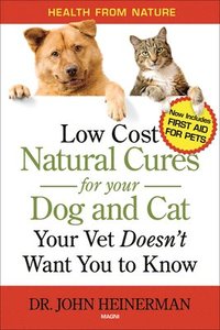 bokomslag Low Cost Natural Cures for You