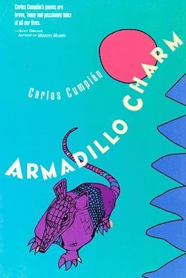 Armadillo Charm 1