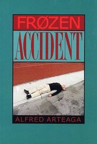 bokomslag Frozen Accident