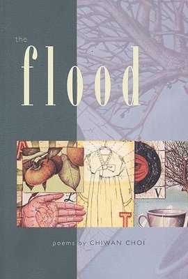 bokomslag Flood