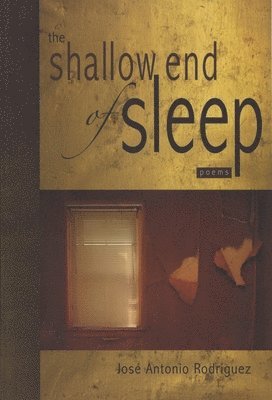 The Shallow End of Sleep 1