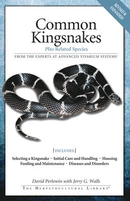 bokomslag Common Kingsnakes