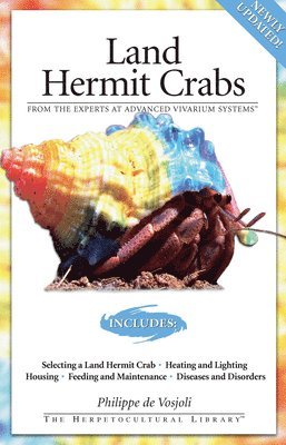 Land Hermit Crabs 1