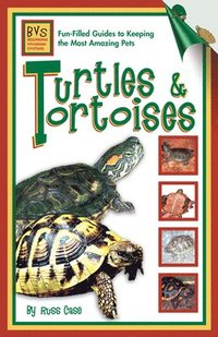 bokomslag Turtles & Tortoises