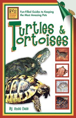 bokomslag Turtles & Tortoises