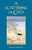 bokomslag Scattering of Cats