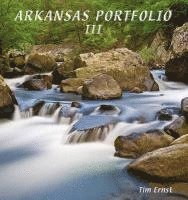 Arkansas Portfolio III 1