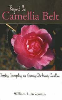 bokomslag Beyond the Camellia Belt