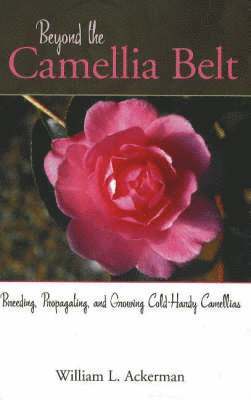 William L. Ackerman - Beyond the Camellia Belt, Inbunden