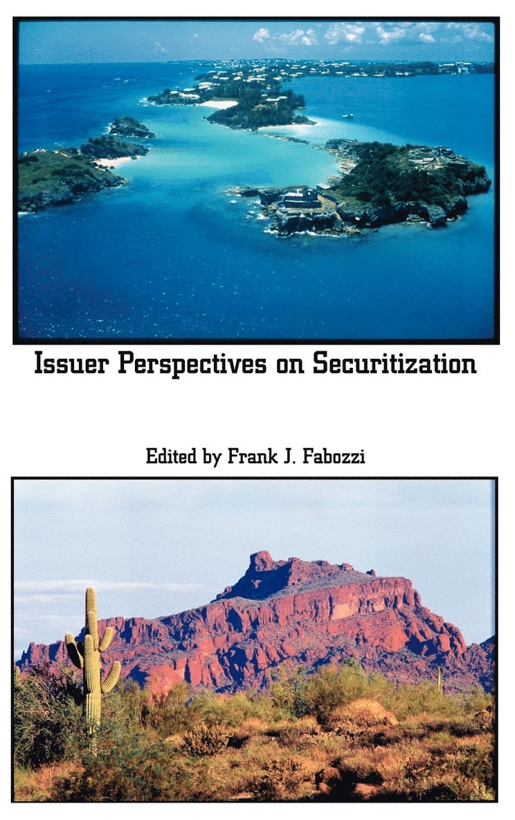 Issuer Perspectives on Securitization 1