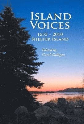 bokomslag Island Voices