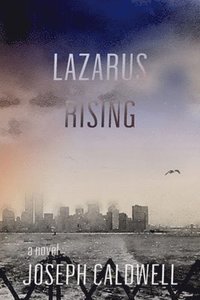 bokomslag Lazarus Rising a novel