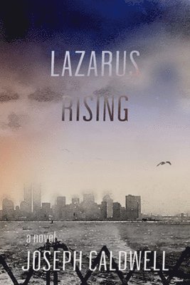 bokomslag Lazarus Rising a novel
