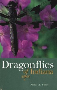 bokomslag Dragonflies of Indiana