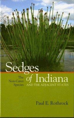 bokomslag Sedges of Indiana and the Adjacent States