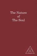 bokomslag The Nature of the Soul