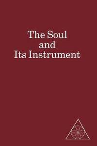 bokomslag Soul and Its Instrument