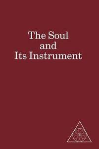 bokomslag The Soul and Its Instrument