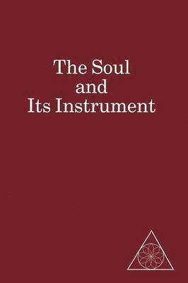 bokomslag Soul and Its Instrument