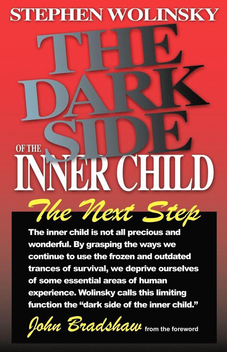 Stephen Wolinsky - The Dark Side of the Inner Child, Häftad