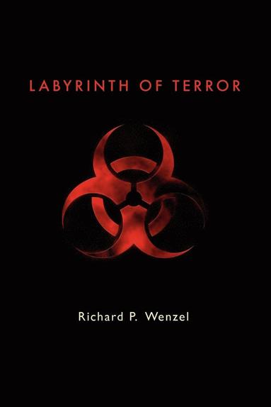 bokomslag Labyrinth of Terror