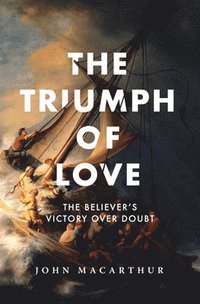 bokomslag The Triumph of Love