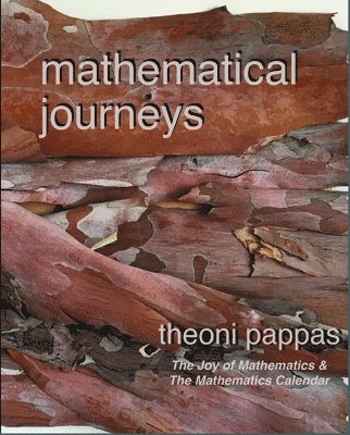 bokomslag Mathematical Journeys