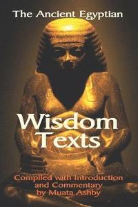 bokomslag The Ancient Egyptian Wisdom Texts