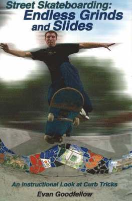 Street Skateboarding: Endless Grinds and Slides