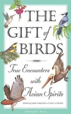 Larry Habegger, Amy Greimann Carlson - Gift of Birds, Häftad