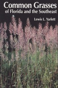 bokomslag Common Grasses of Florida & The Southeast