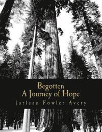 bokomslag Begotten: A Journey of Hope