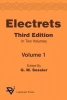 bokomslag Electrets 3rd Ed. Vol 1
